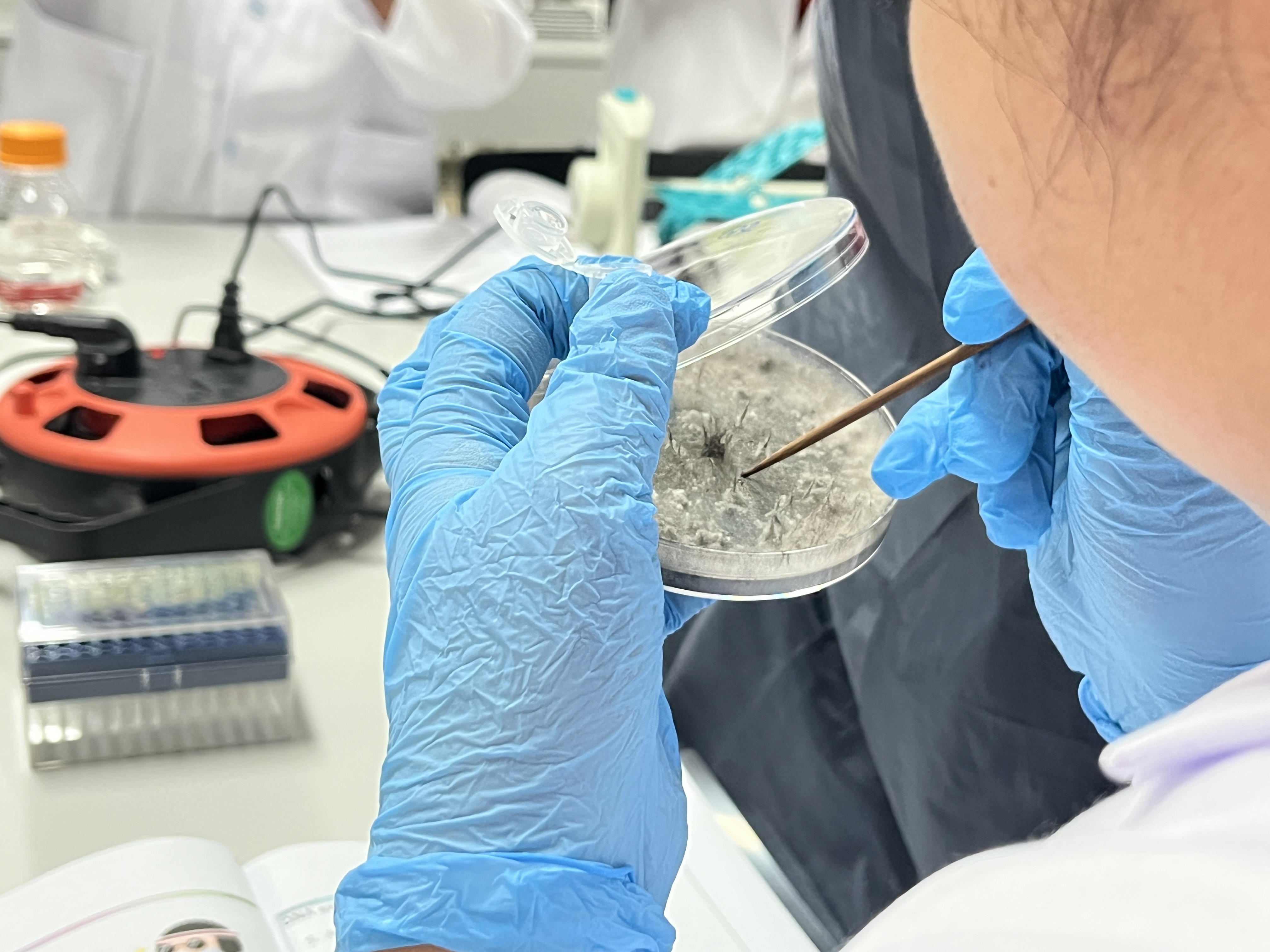 Research Laboratory